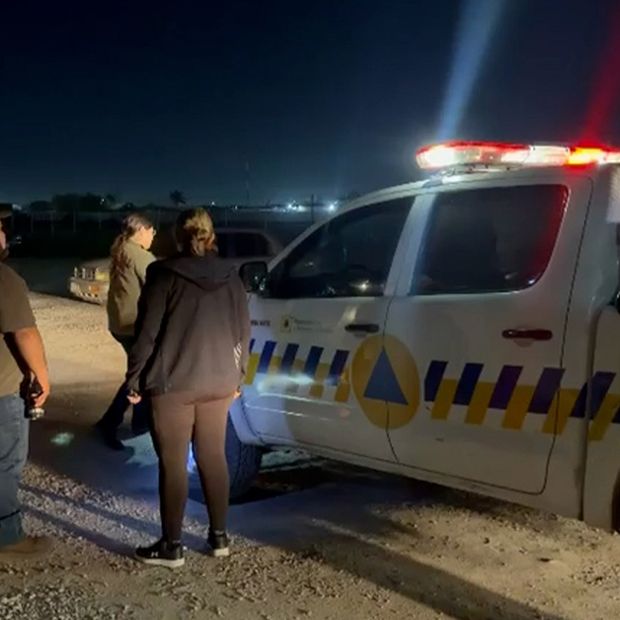 Descartan Avistamiento de Oso en Carretera Mieleras en Torreón, Coahuila